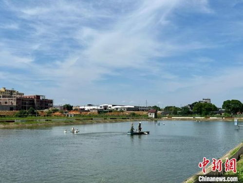 一村一名大學生 江西南昌引人才 活水 助農(nóng)業(yè)增效農(nóng)民增收