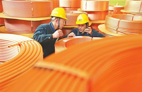 江西 贛鄱生 金 豐收畫(huà)卷 圖